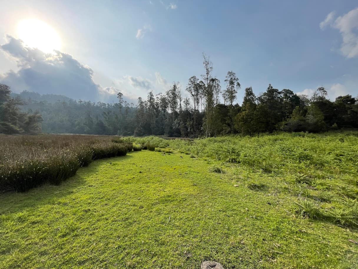Grasslands of Kookal