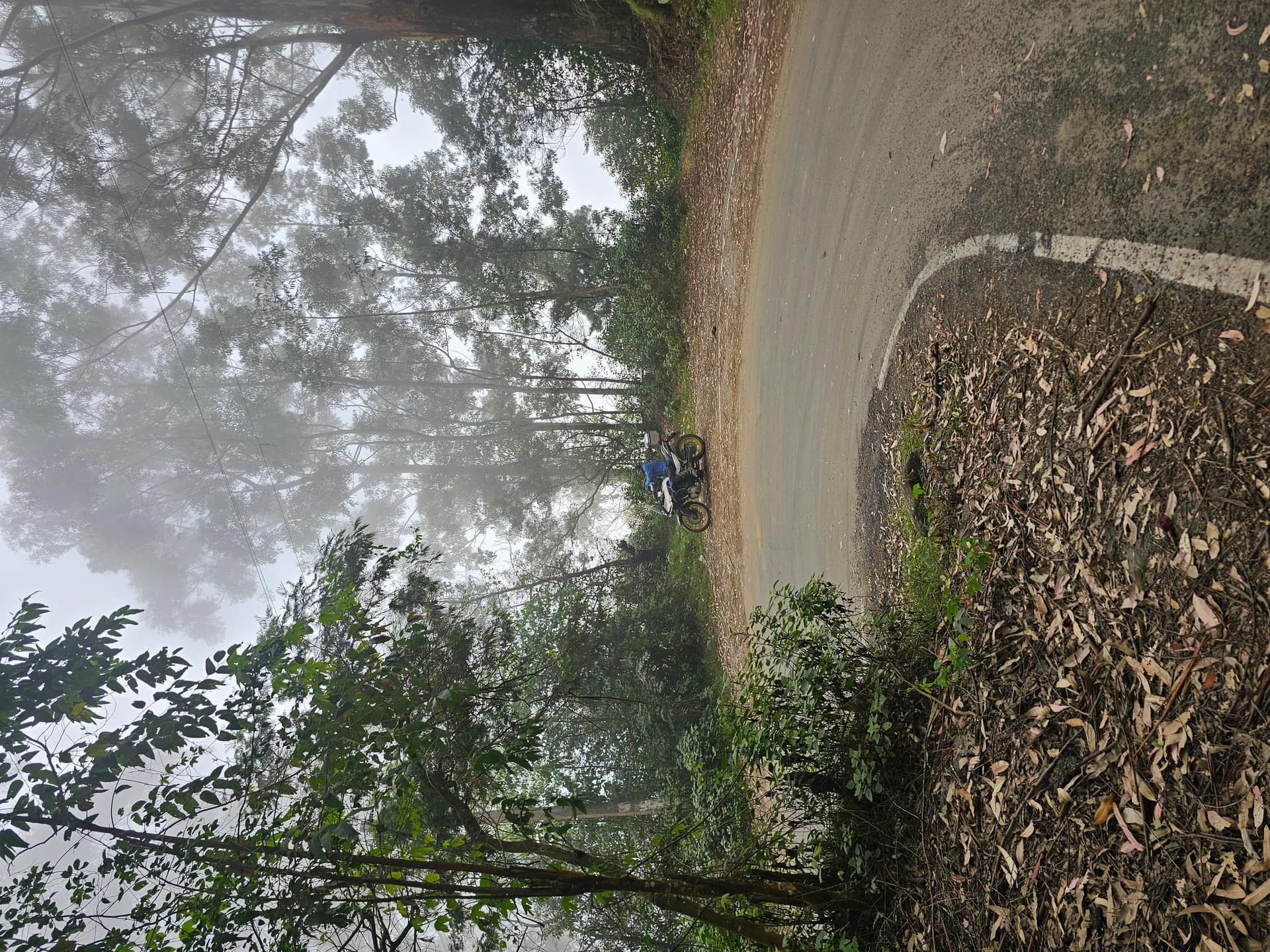 Misty Road to Kookal