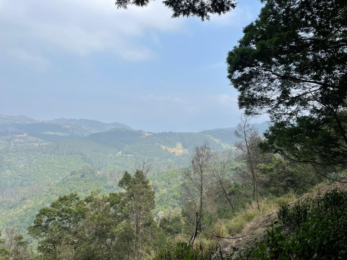 Valley of Western Ghats