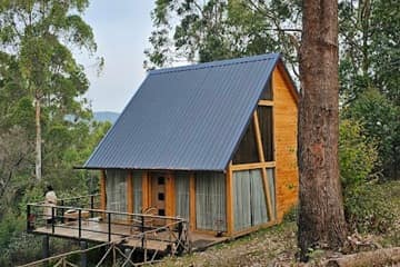 Cabins in the Mist
