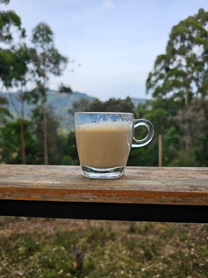 Wake up to forest views