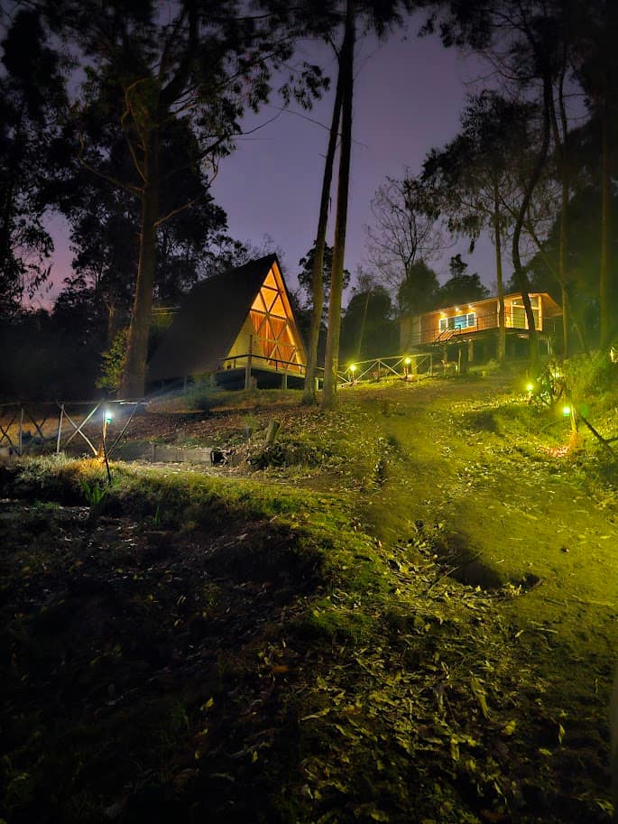 The Westwood Night View