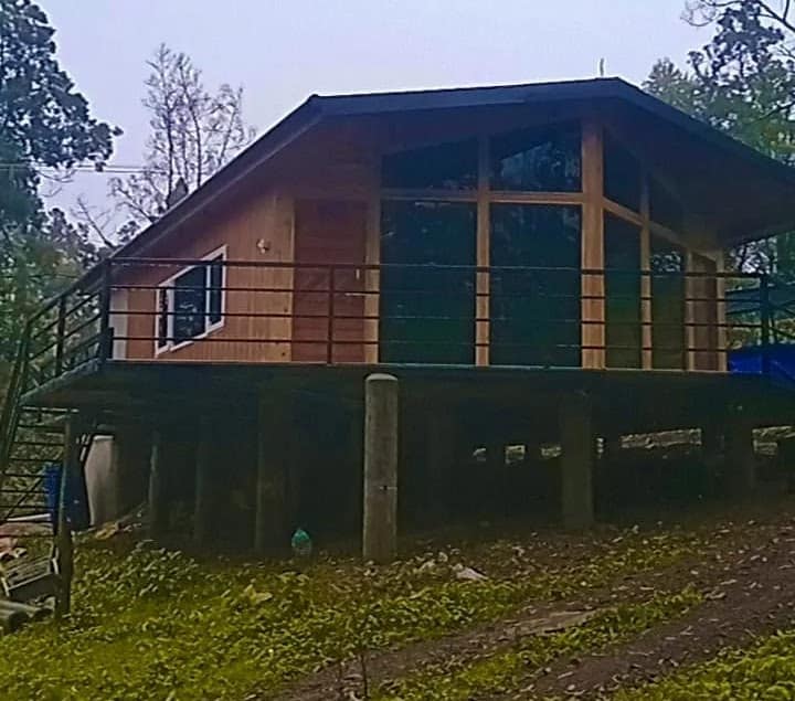Teak image 1